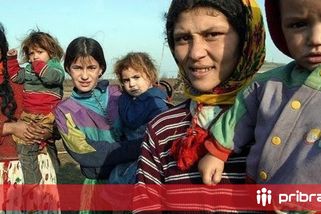 Z Ukrajiny přišlo do ČR kvůli válce do 500 Romů